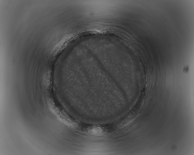 X0000116770600201001071218