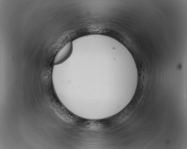 X0000116770601201001071218