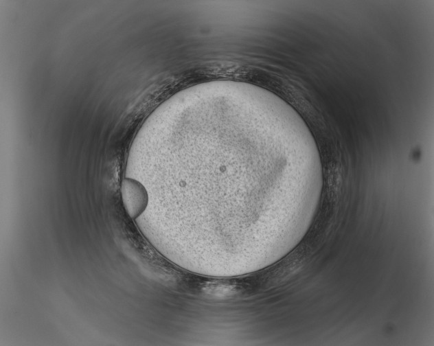 X0000116770602201001071218