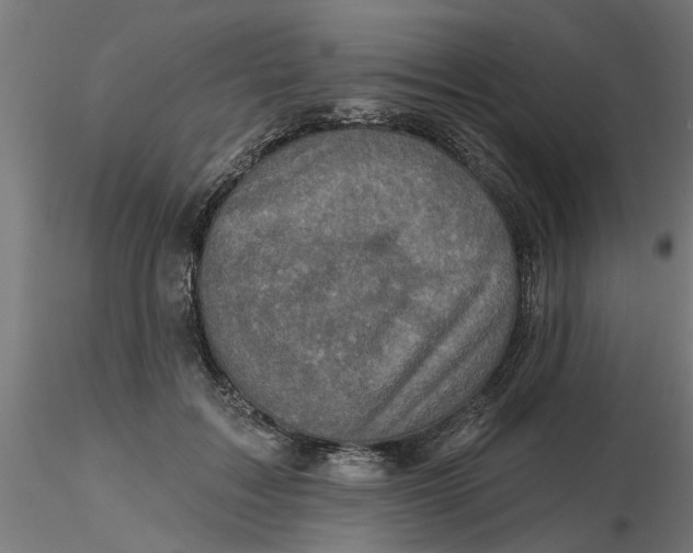 X0000116770603201001071218