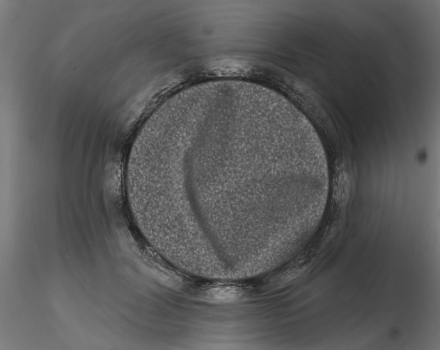 X0000116770604201001071218