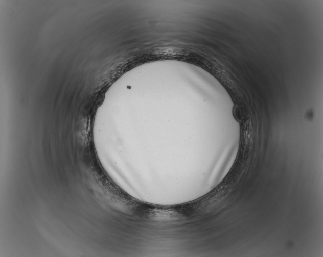 X0000116770605201001071218