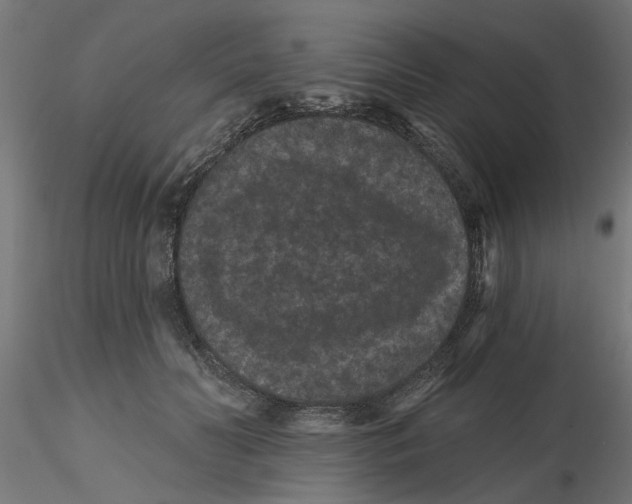 X0000116770606201001071218