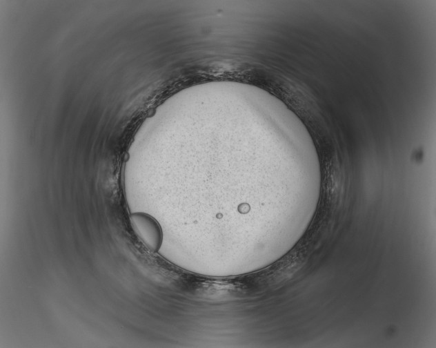 X0000116770607201001071217