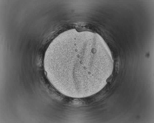 X0000116770608201001071217