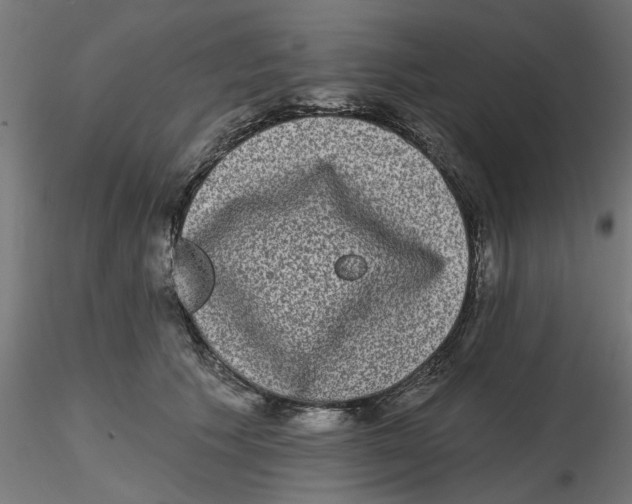 X0000116770609201001071217