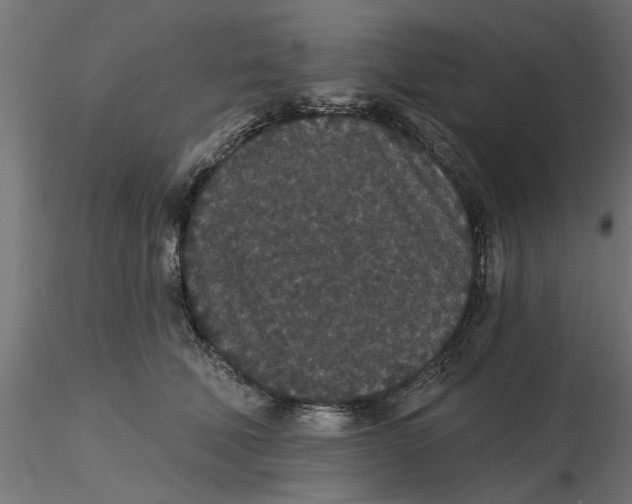 X0000116770610201001071217