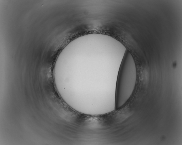 X0000116770611201001071217