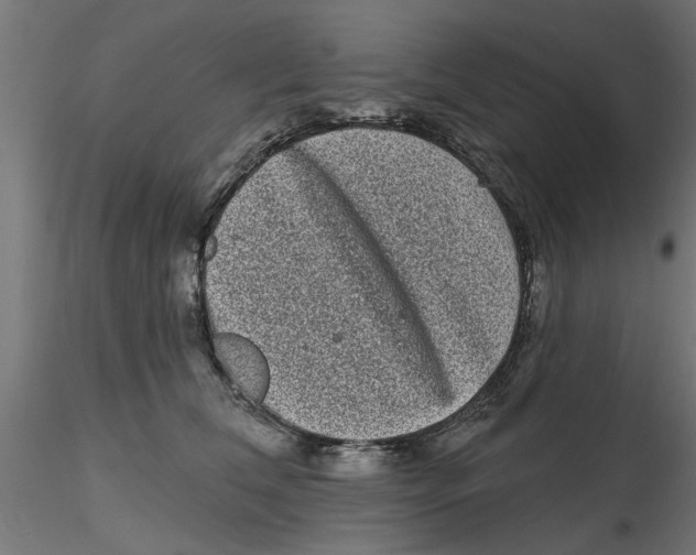 X0000116770612201001071217