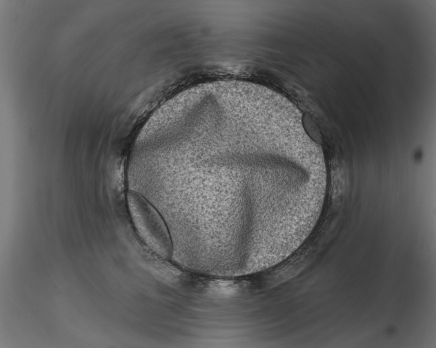 X0000116770613201001071217