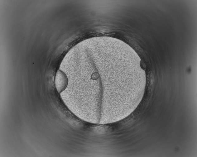 X0000116770615201001071217