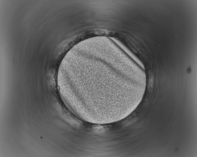 X0000116770616201001071217