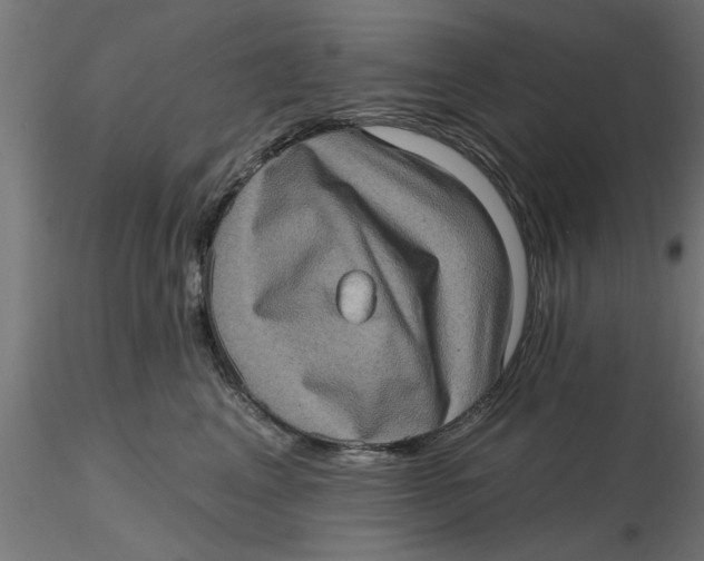 X0000116770617201001071217