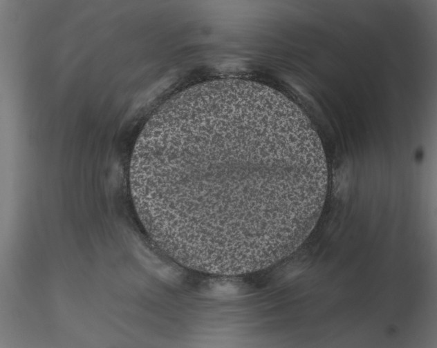 X0000116770618201001071217