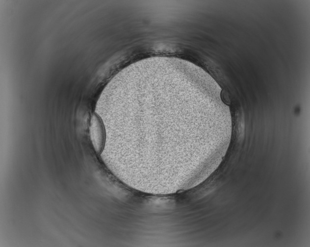 X0000116770619201001071217