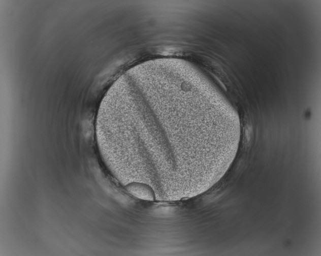 X0000116770620201001071217