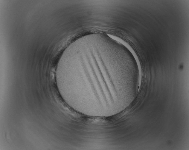 X0000116770621201001071217