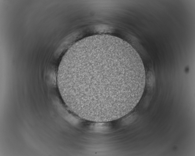 X0000116770622201001071217