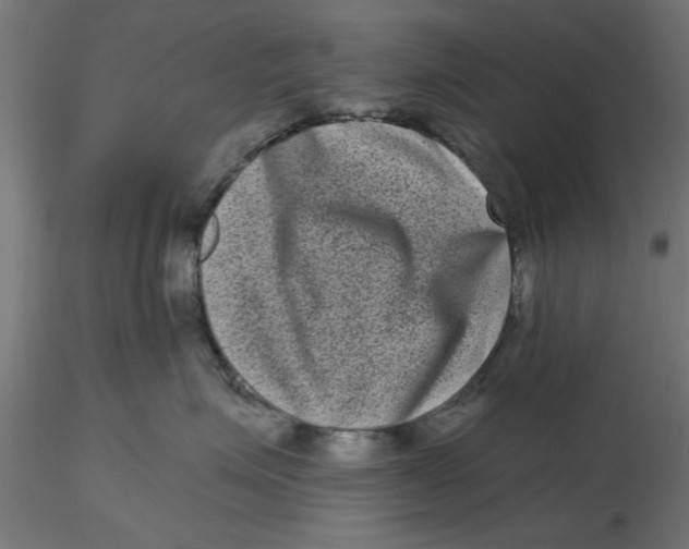 X0000116770623201001071217