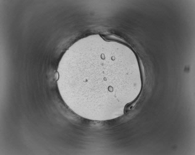 X0000116770624201001071217