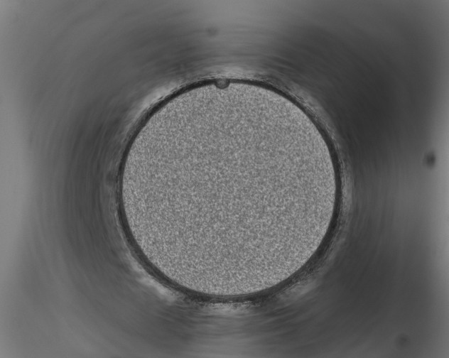 X0000116770625201001071217