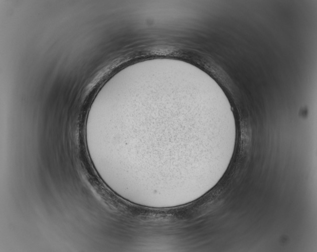 X0000116770626201001071217