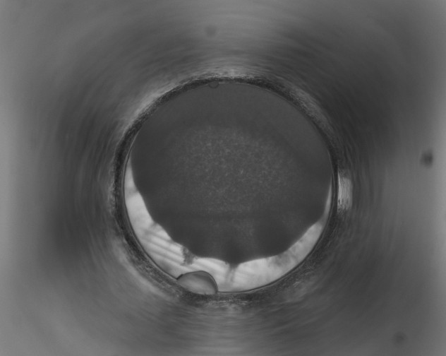 X0000116770627201001071217