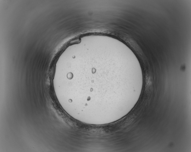 X0000116770628201001071217