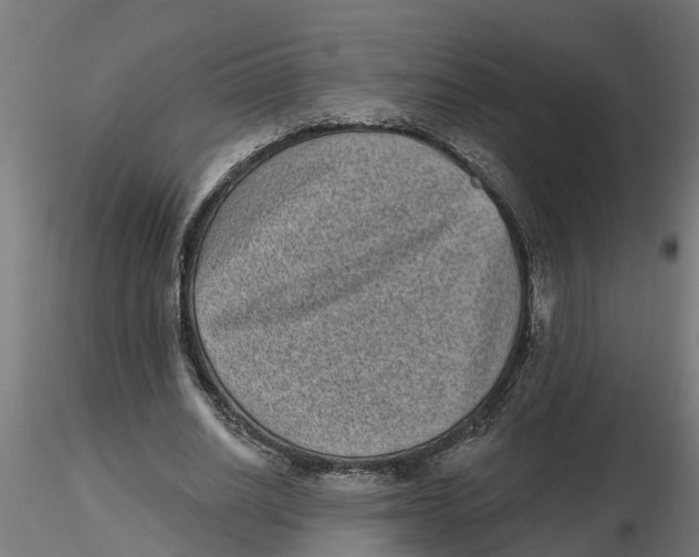 X0000116770630201001071217