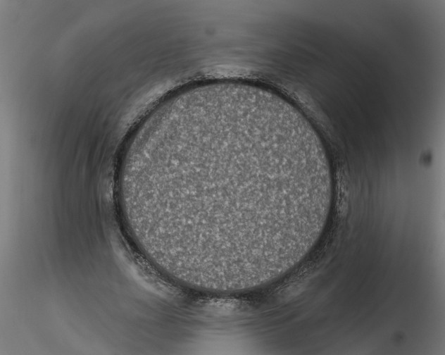 X0000116770631201001071217