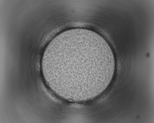 X0000116770633201001071217