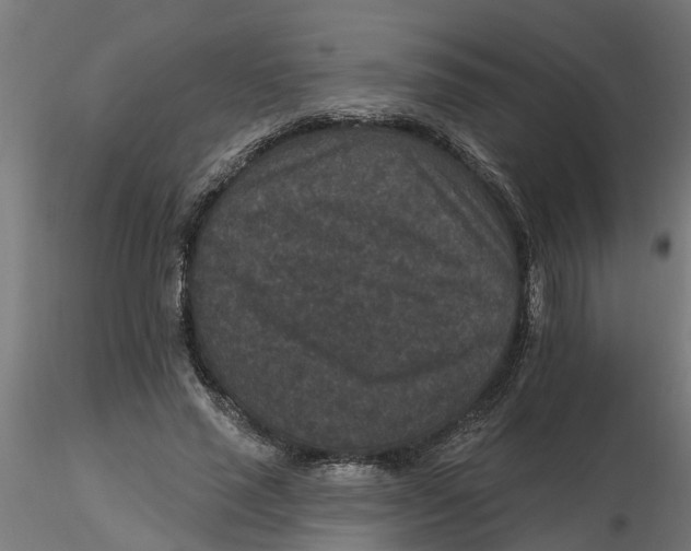 X0000116770637201001071217