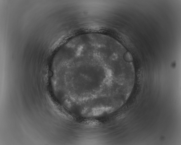 X0000116770642201001071217