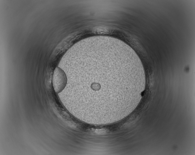 X0000116770645201001071217