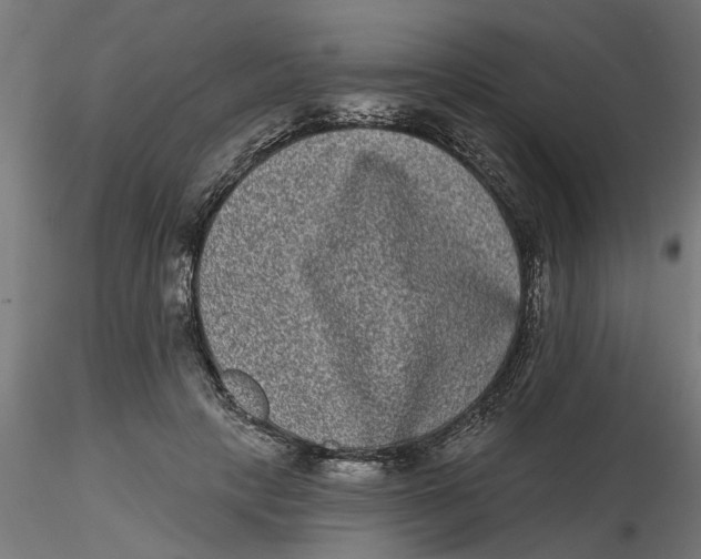 X0000116770649201001071217