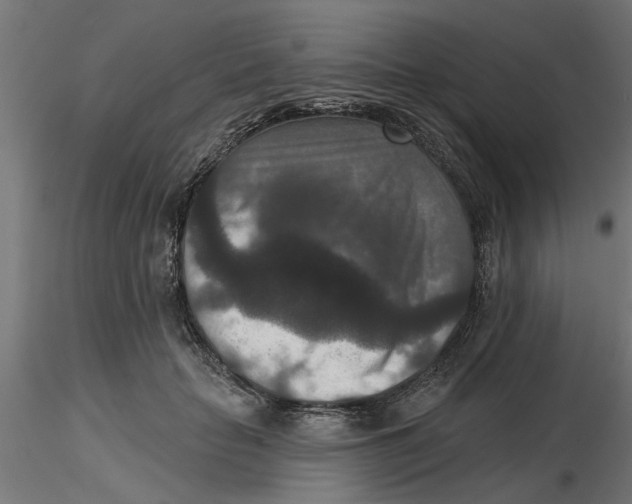 X0000116770653201001071217