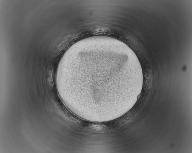 X0000116770654201001071217