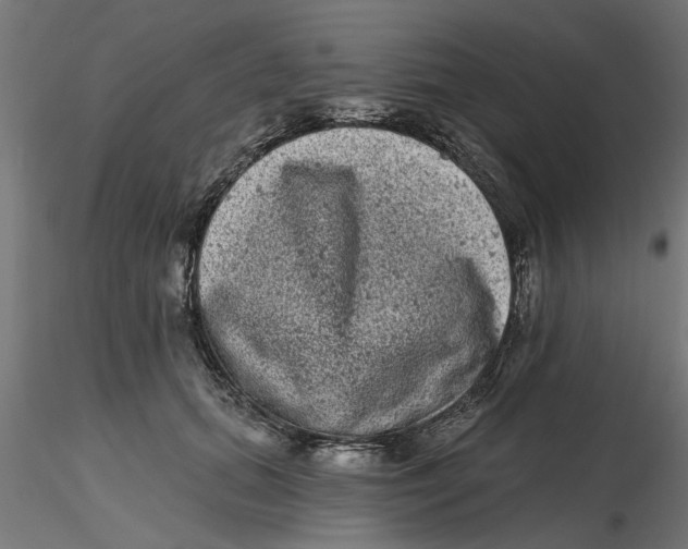 X0000116770655201001071217