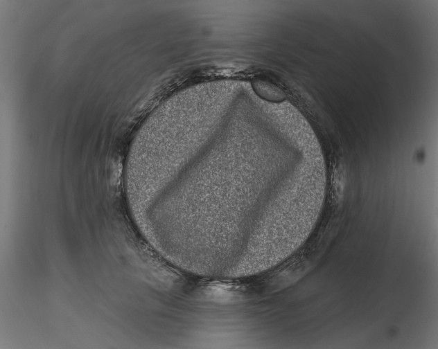 X0000116770657201001071217