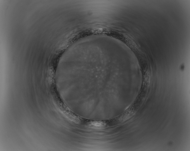 X0000116770659201001071217