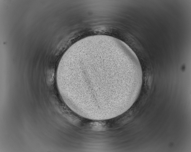 X0000116770660201001071217