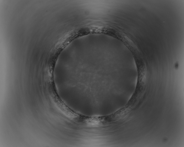 X0000116770661201001071217