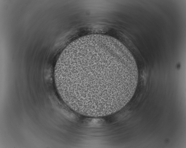 X0000116770663201001071217