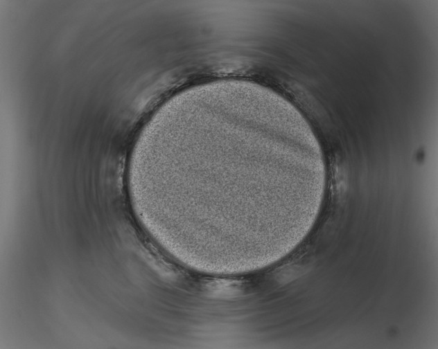 X0000116770664201001071217