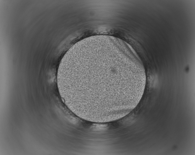 X0000116770665201001071217