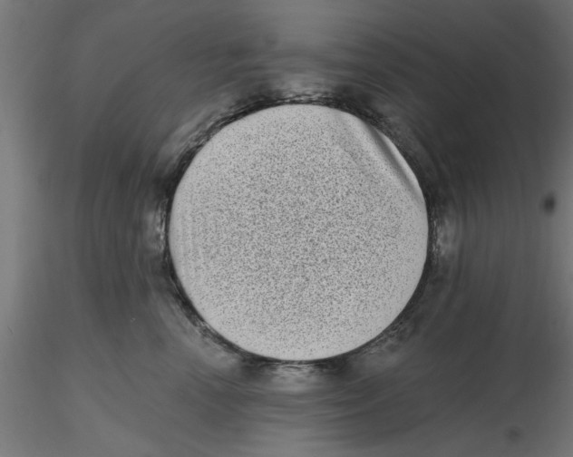 X0000116770666201001071217