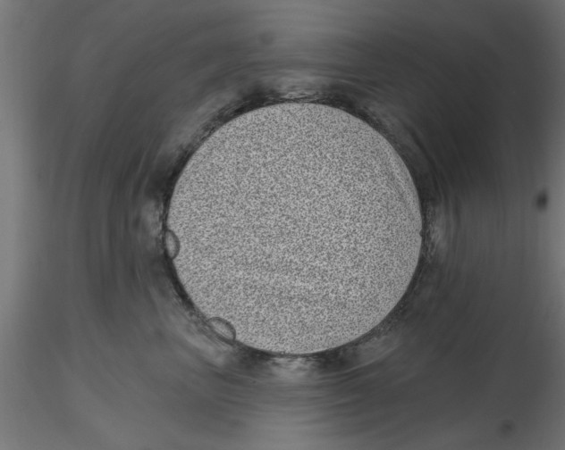 X0000116770667201001071217