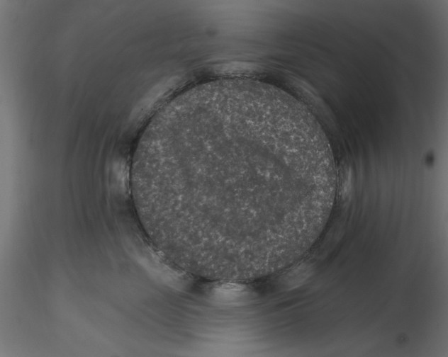 X0000116770669201001071217