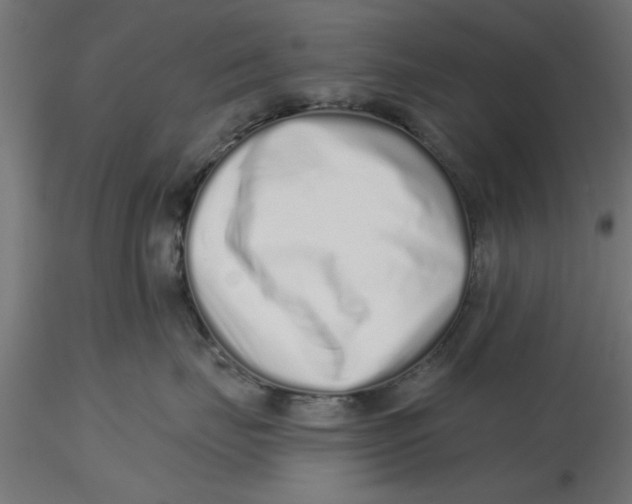 X0000116770671201001071217