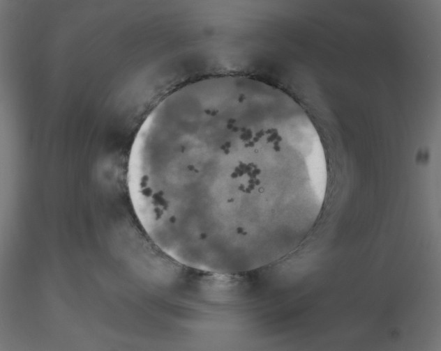 X0000116770672201001071217